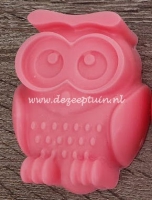 Uil groot